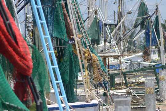 several shrimp boat nets, riggings and masts docked, full frame