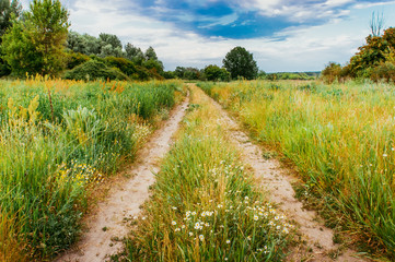 Fototapeta na wymiar Old field road, blue sky and flowers meadow
