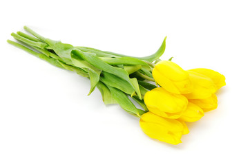 Yellow tulips on white background