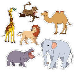 Set of various cute animals, stickers of safari animals. Vector illustration isolated on white