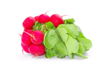 Fresh radishes on a white background