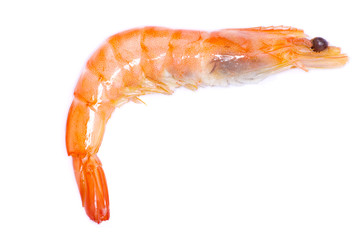 shrimp isolated on a white background