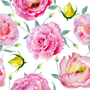 Wildflower rose pattern flower in a watercolor style isolated. Full name of the plant: rose. Aquarelle wild flower for background, texture, wrapper pattern, frame or border.