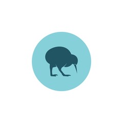 kiwi bird vector icon logo element