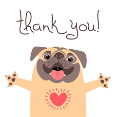 Cute dog says thank you. Pug with heart full of gratitude. - 162400318