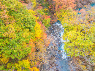 Beauty in nature. River and Autumn or fall color forest