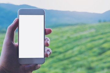 Mockup image of a hand holding and showing white smart phone with blank screen at outdoor and green nature background