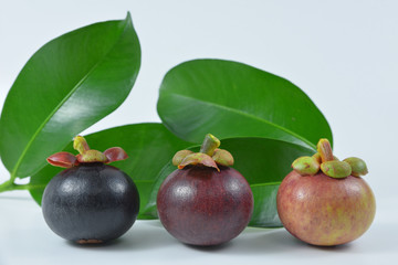 Mangosteen on white background.
