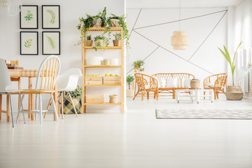 Spacious studio apartment