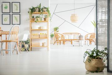 Living room and dining room with plants