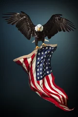 Tuinposter Bald Eagle met Amerikaanse vlag © Lukas Gojda