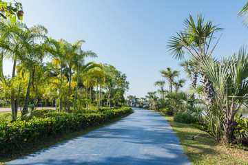 Fototapeta premium Landscape plublic garden park, Nature garden with the urban, Comfort zone for exercise and relaxation at green garden