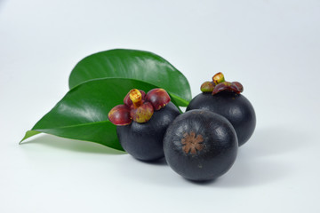 Mangosteens on white background.
