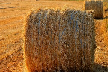 Stack of Hay