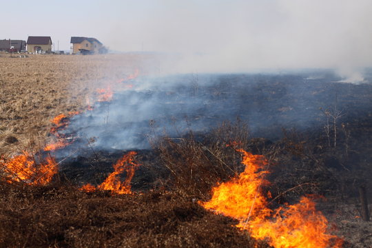 Burning grass / fire on the field near houses.