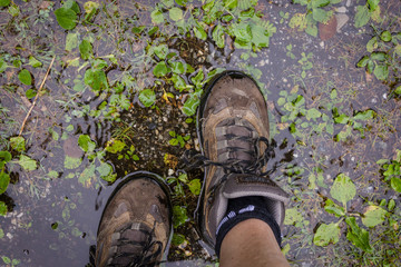  to get wet feet on a rainy day