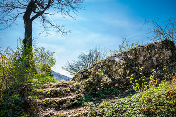 Rocky Path