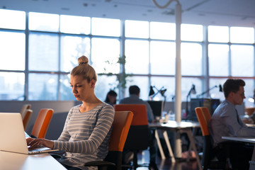 Fototapeta na wymiar businesswoman using a laptop in startup office