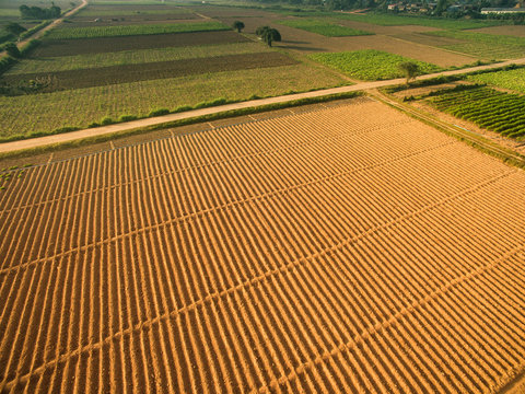 Rows of soil before planting.Furrows row pattern in a plowed field prepared for planting crops in spring.