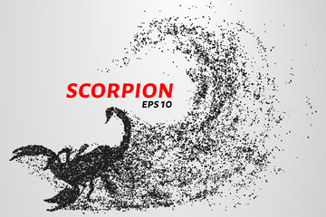 Fototapeta na wymiar Scorpio of the particles. Scorpio consists of circles and points. Vector illustration