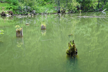 Romania Red Lake Area
