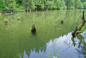 Romania Red Lake Area