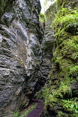 Romania Borsesc Region