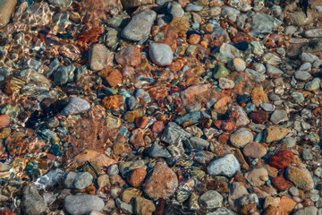 shingle in water