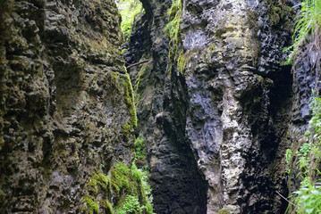 Romania Borsesc Region