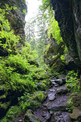 Romania Borsesc Region