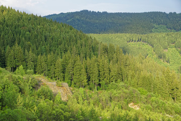 Romania Borsesc Region