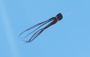 Black cuttlefish or octopus kite flying on the blue sky