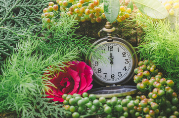 Vintage pocket watch with green leaves background. Tropical concept.