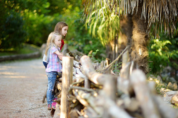 Two cute little sisters watching animals in the zoo on warm and sunny summer day. Children watching zoo animals standing by the fence. © MNStudio