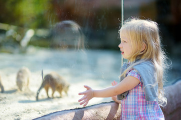 Cute little girl watching animals in the zoo on summer day. Child watching zoo animals through the window. © MNStudio
