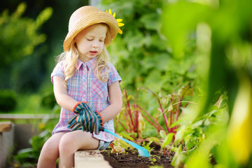 Obraz premium Adorable little girl wearing straw hat and childrens garden gloves playing with her toy garden tools in a greenhouse on summer day