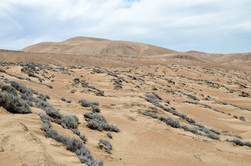Stunning view to the dunes of the desert under blue sky