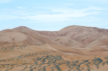 Shades and shapes of desert dunes