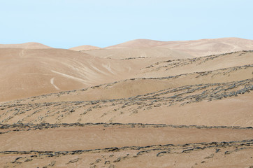 Fototapeta na wymiar Dunes of the desert