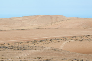 Fototapeta na wymiar Sand dunes of the desert with tillandsia plant