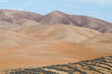 Colors of the desert