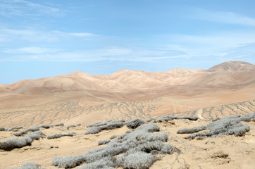 Fototapeta na wymiar Dry lands of Chilean desert