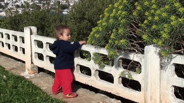 Baby explores plants by tasting
