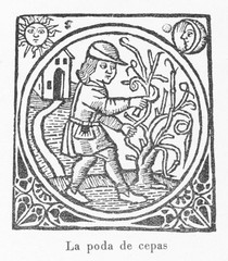 Fototapeta na wymiar Pruning Vines Spain 1511. Date: 1511