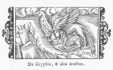Folklore - Gryphon. Date: 1555