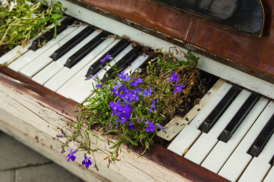 The old white piano with purple flowers on the street.