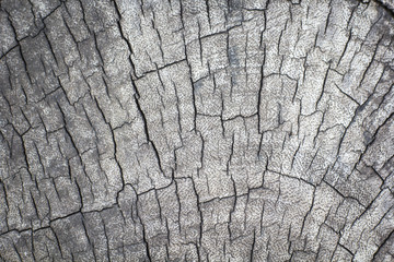 Natural textures.wood core,old wood
