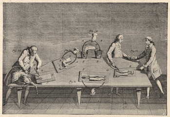 Science - Galvani - Electric. Date: circa 1780
