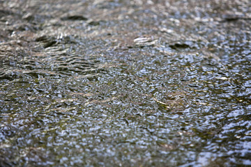 Reflections on Water