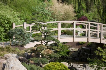 japanese wood bridge